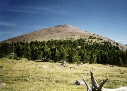 View of Baldy Summit